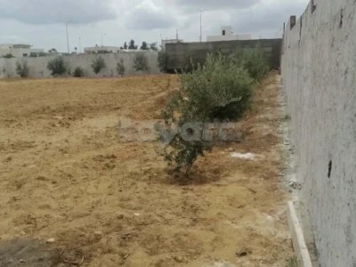 Soukra chotrana 3 coté restaurant el Firma : A vendre lots de terrain dans un lotissement à ménagé et viabilisé, titre foncier individuel