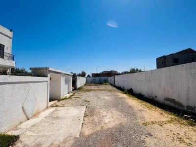 عيش حقق حلمك في أرض في سكرة