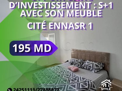 OPPORTUNITÉ EXCEPTIONNELLE D’INVESTISSEMENT : S+1 AVEC SON MEUBLE