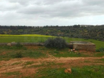Terrain de 1 hectare à Sidi Thabet