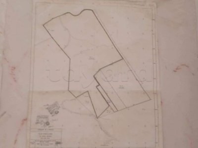 Terrain ennasr 1 borj turki