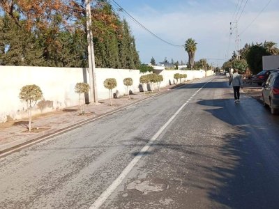 A vendre deux ancien maison la 1er sur un terrain 395m² la 2em terrain 358m² titre individuelle ce trouve  Rue due PARC SOUKRA coté maison SOLA Tunis