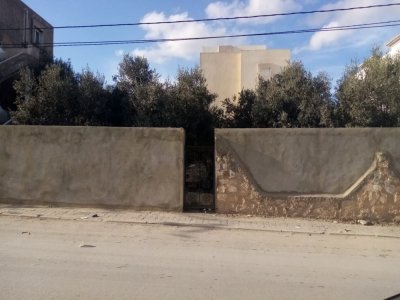 terrain 500m2 titre bleu Ariana soghra nour jaafer