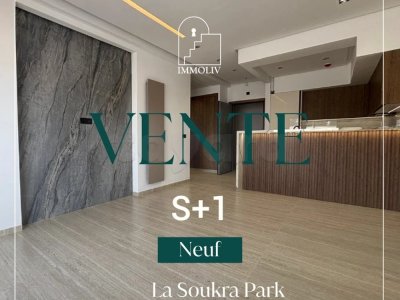 A vendre Appt S1 direct promoteur à la Soukra Park