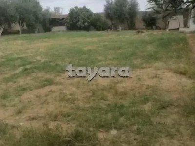 La Soukra Chotrana 3 côté Restaurant El Firma dans un lotissement: A Vendre terrain clôturé R+2