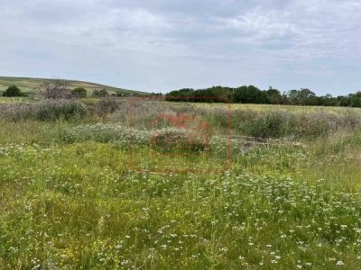 A Vendre Maison Avec Des Local Commercial Sur La Route Principal Sidi Hmed Bizerte