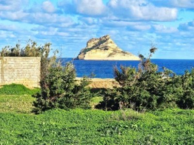 Terrain 1040 m2 rafraf plage ain mesrtir