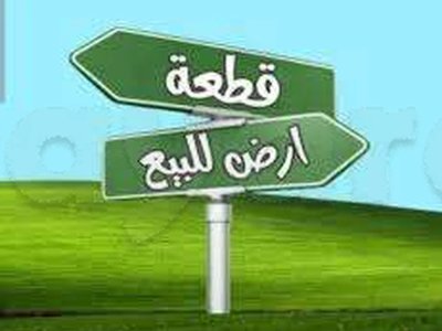 Terrain agricole à vendre à Metlaoui (العجرمية )