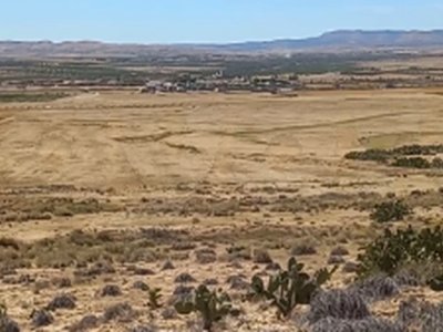 terrain agricole