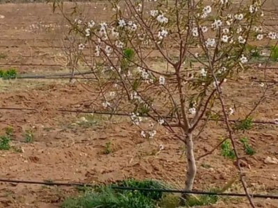 AV Ferme Agricole de 8,5 hectares