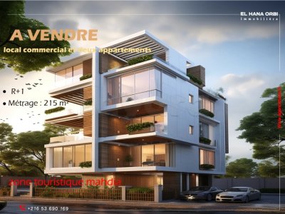 à vendre local commercial et deux appartement sur la route principale