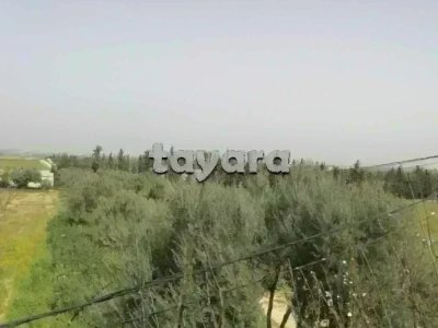 Borj El Amri Gouvernorat de Manouba: A Vendre Ferme de 82500m²