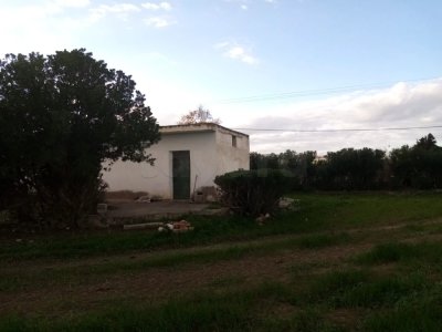 terrain agricole Jedaida