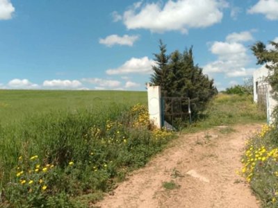 Terrain agricole 8,5 ha avec amandiers – Chaouat (Jedeida)