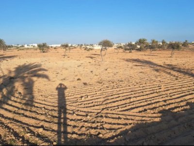 Terrain à Ajim Jerba.