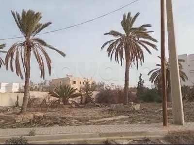 Terrain constructible, loti et viabilisé, avec titre de propriété individuel - Houmt Souk