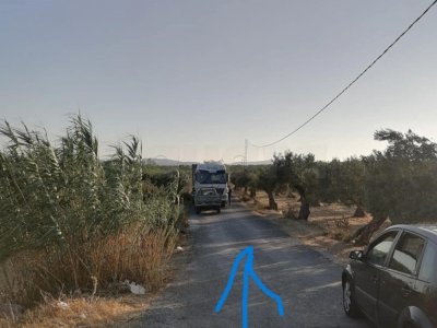 vente Terrain agricole NABEUL