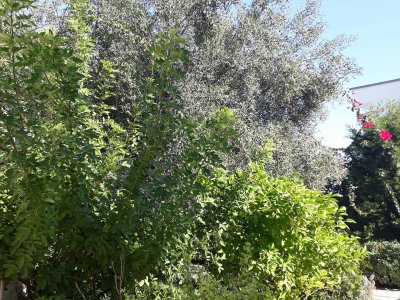 Vente Maisons à El Kantaoui (Hammam Sousse) - Villa à rénover à kantaoui