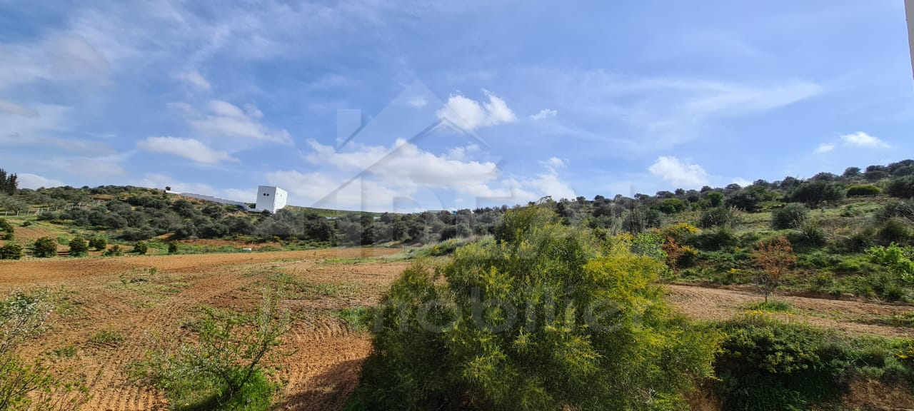 Terrain Terrain agricole à Sidi Thabet (Sidi Thabet) - Ferme et villa de 2hectares à sidi thabet