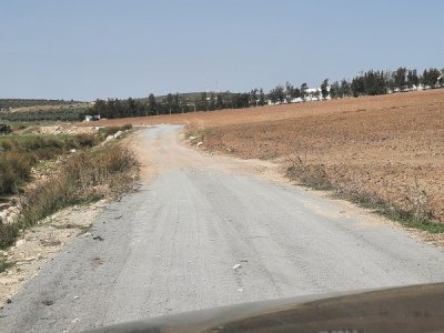 Vente Surfaces à Birine (Sidi Hassine) - Ferme  de 17 ha  a  tunis