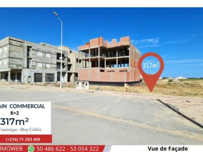 Terrain Terrain nu à Borj Cedria (Hammam Chatt) - Terrain de 317 m2 de coin  commercial  résidentiel -