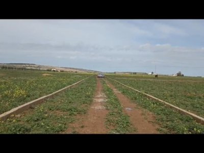 Terrain Terrain agricole à Ain El Asker (Bir Mcherga) - Des parcelles agricoles a usage résidentiel