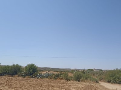 Terrain Terrain agricole à El Amaiem (El Fahs) - Ferme 4 hectares elfahs