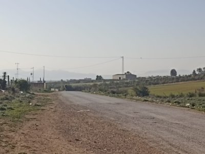 Terrain Terrain agricole à Bir Mcherga (Bir Mcherga) - 5 hectare 1h oliviers 4h nu