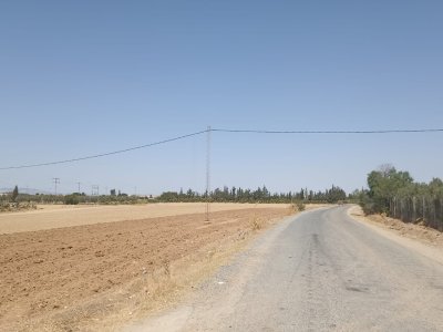Terrain Terrain agricole à El Amaiem (El Fahs) - Ferme 65 km de tunis