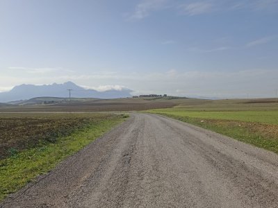 Terrain Terrain agricole à Bir Mcherga (Bir Mcherga) - 2 hectares 3000m2 à 32km de tunis