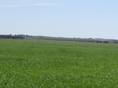 Terrain Terrain agricole à Boucha (Bir Mcherga) - 22 hectare  terrain plat et fertile