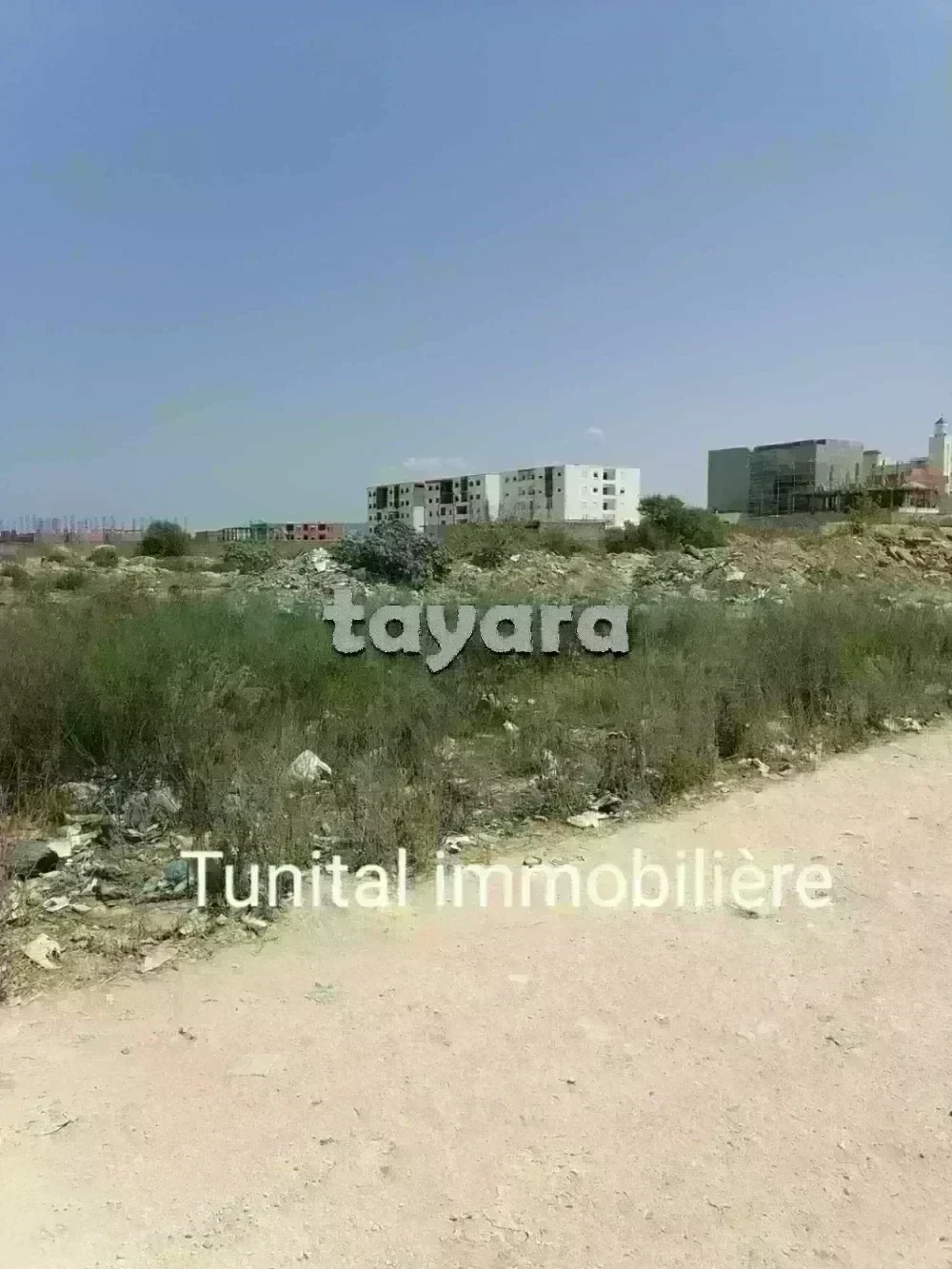 Terrain Terrain nu à Cite El Moustakbel (Sidi Daoud) (La Marsa) - Bonne affaire à ne pas rater -