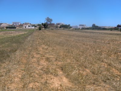 Terrain Terrain nu à Dar Allouche (Kelibia) - Lotisement 80dt le m2