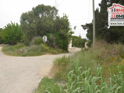 Terrain Terrain agricole à Menzel Bouzelfa au prix de 200000 Dinars