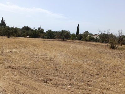 Terrain Terrain nu à Hammamet (Hammamet) - Av terrain 2100m à sidi mtire