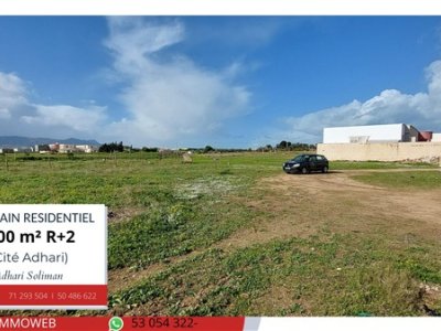 Terrain Terrain nu à Dhahri (Soliman) - Terrain de 500 m2 à 200 dt le m2 -