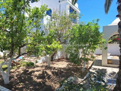 Location Maisons à Hammamet (Hammamet) - Dar les orangers