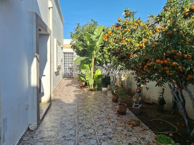 Location Appart. 3 pièces à Hammamet (Hammamet) - Appartement enjoy