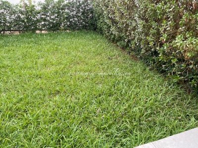 Location Appart. 2 pièces à Hammamet (Hammamet) - Appartement myriem
