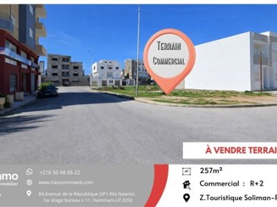 Terrain Terrain nu à Borj Cedria (Hammam Chatt) - Terrain de 257 m2 de coin com résid 650 tnd le m2 -