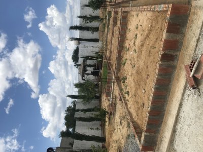 Vente Surfaces à Sidi Hmed (Hammamet) - Terrain clôturé