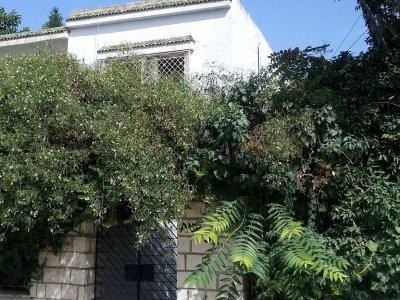 Vente Maisons à Le Bardo (Le Bardo) - Maison s plus 3 à bardo