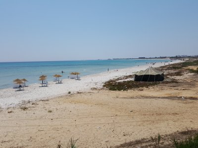 Terrain Terrain agricole à Kerkouane (Kelibia) - 5 ha pour investir au cap bon