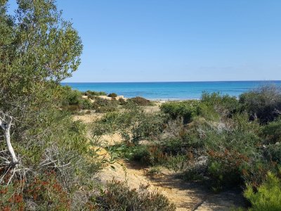 Terrain Terrain nu à Dar Allouche (Kelibia) - Belle investissement de 50 000 mètre carré