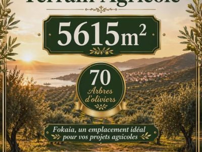 Terrain Terrain agricole à Chatt Meriem (Akouda) - Lot d'invesstisement 5615m sur l'autoroute fokaia -