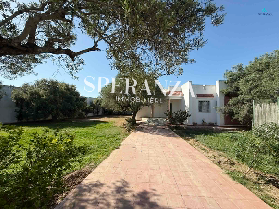 Location Appart. 3 pièces à Hammamet (Hammamet) - Villa fabio