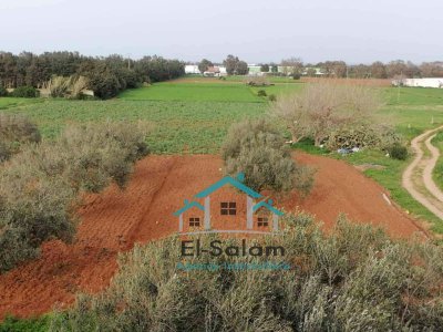 Terrain Terrain agricole à Dar Allouche (Kelibia) - 12700m2 avec deux maisons garage