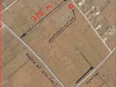 Terrain Terrain agricole à El Ain (Sfax Sud) - Opportunité de 542 m à route el aïn km 12