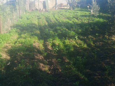 Vente Maisons à Dar Allouche (Kelibia) - Maison a kelibia opportunité a ne pas raté