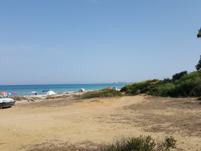 Terrain Terrain agricole à Kelibia (Kelibia) - Opportunité dinvestissement rare